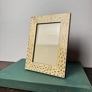 Puede incluir: Un marco de fotos rectangular con un borde beige claro que presenta un patrón de pequeñas manchas oscuras irregulares y motas doradas. El marco incluye un cristal con el texto natalini MADE IN ITALY 4x6 in 10x15 cm impreso en él.