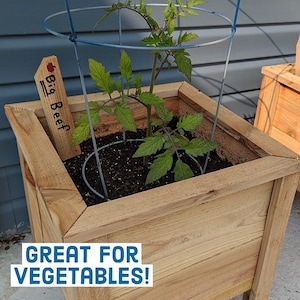 cedar planter 10x10x13