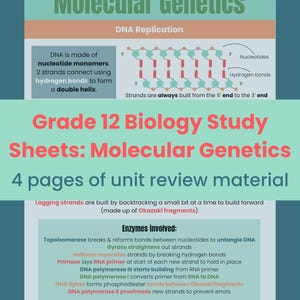 May include: A Grade 12 Biology study sheet on Molecular Genetics, featuring a diagram of DNA replication with nucleotides and hydrogen bonds. The sheet also details enzymes involved, including Topoisomerase and Helicase, and is 4 pages long.
