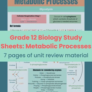 SBI4U Metabolic Processes Study Guide | Ontario Grade 12 Biology Notes | Unit Review PDF