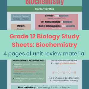 May include: A study sheet for Grade 12 Biology, Biochemistry unit review. The teal and pink graphic includes information on carbohydrates, monomers, and polysaccharides. The text also includes the general formula (CH₂O)n.