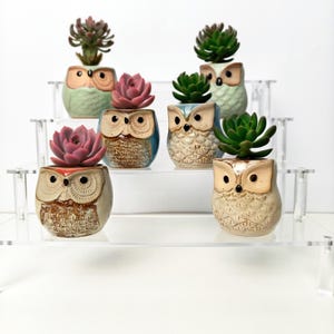 Handmade Ceramic Owl Planter: Mini Succulent Vase, Woodland Decor
