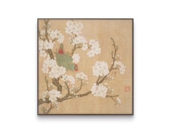 Loro de flor de peral estilo Gongbi, decoración de pared en formato cuadrado, botánica china vintage, descarga digital imprimible instantánea