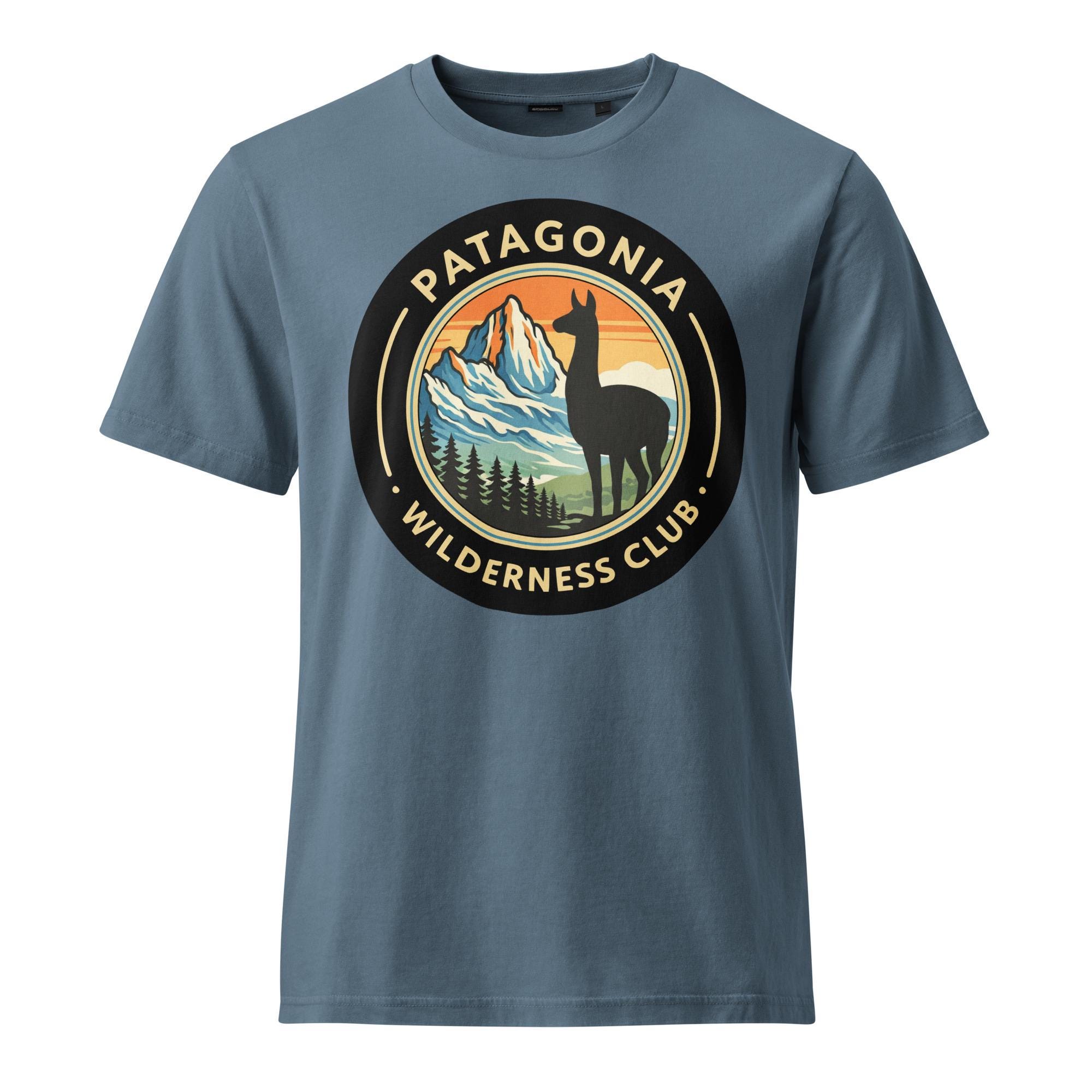 Vintage Patagonia Tshirt - Etsy