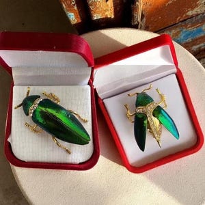 Real Jewel Beetle Wing Brooch Thai Insect Wing Pin Metallic Green Scarab Jewelry Open or Closed Wings Entomology Gift for Nature Lover