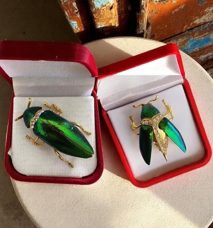 Thai jewel beetle - Etsy 日本