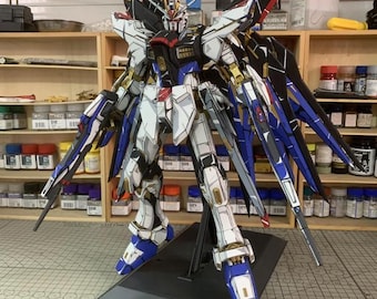 AeroModelBuild Strike Freedom Gundam (Two-Dimensional Painting) Built & Painted PG 1/60 Model Kit
