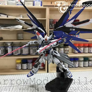AeroModelBuild Freedom Gundam Ver 2.0 Built & Painted MG 1/100 Model Kit