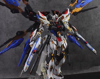 AeroModelBuild Strike Freedom (Heavy Shaping) Gundam Built & Painted MGEX 1/100 Model Kit