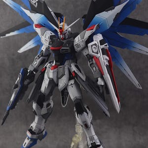 AeroModelBuild Freedom Gundam (Custom Version) Built & Painted MG 1/100 Model Kit