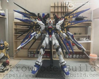 AeroModelBuild Strike Freedom (Heavy Shaping) Built & Painted PG 1/60 Model Kit