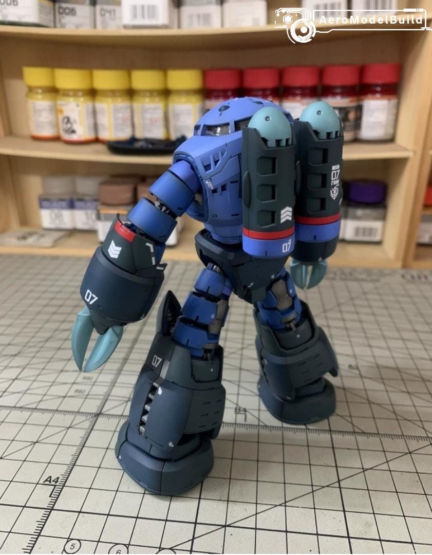 Pre-built Painted Zgok RG 1/144 Scale | Custom Finish