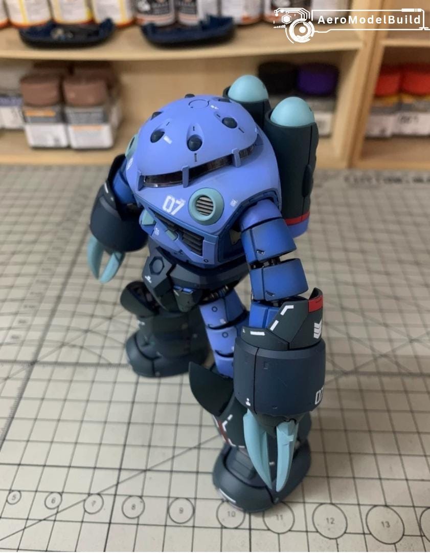 Pre-built Painted Zgok RG 1/144 Scale | Custom Finish