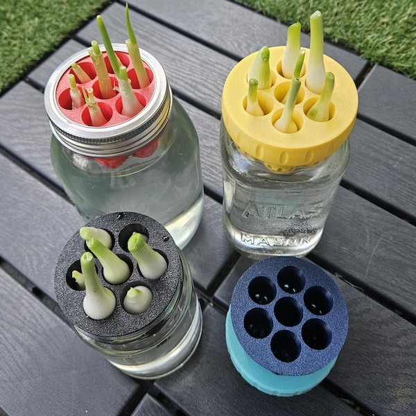 Recultivador de cebollas verdes: Adaptador hidropónico Kratky para frascos Mason