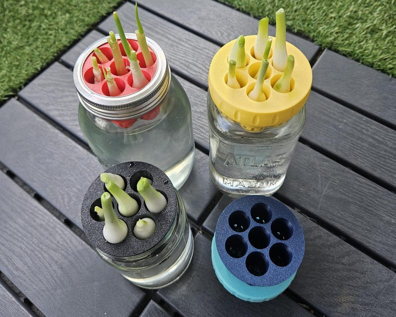 May include: Four glass jars with sprouting onions in water. Each jar has a different colored lid with holes to hold the onions. The lids are red, yellow, black, and blue. The jars are on a dark gray wooden surface.