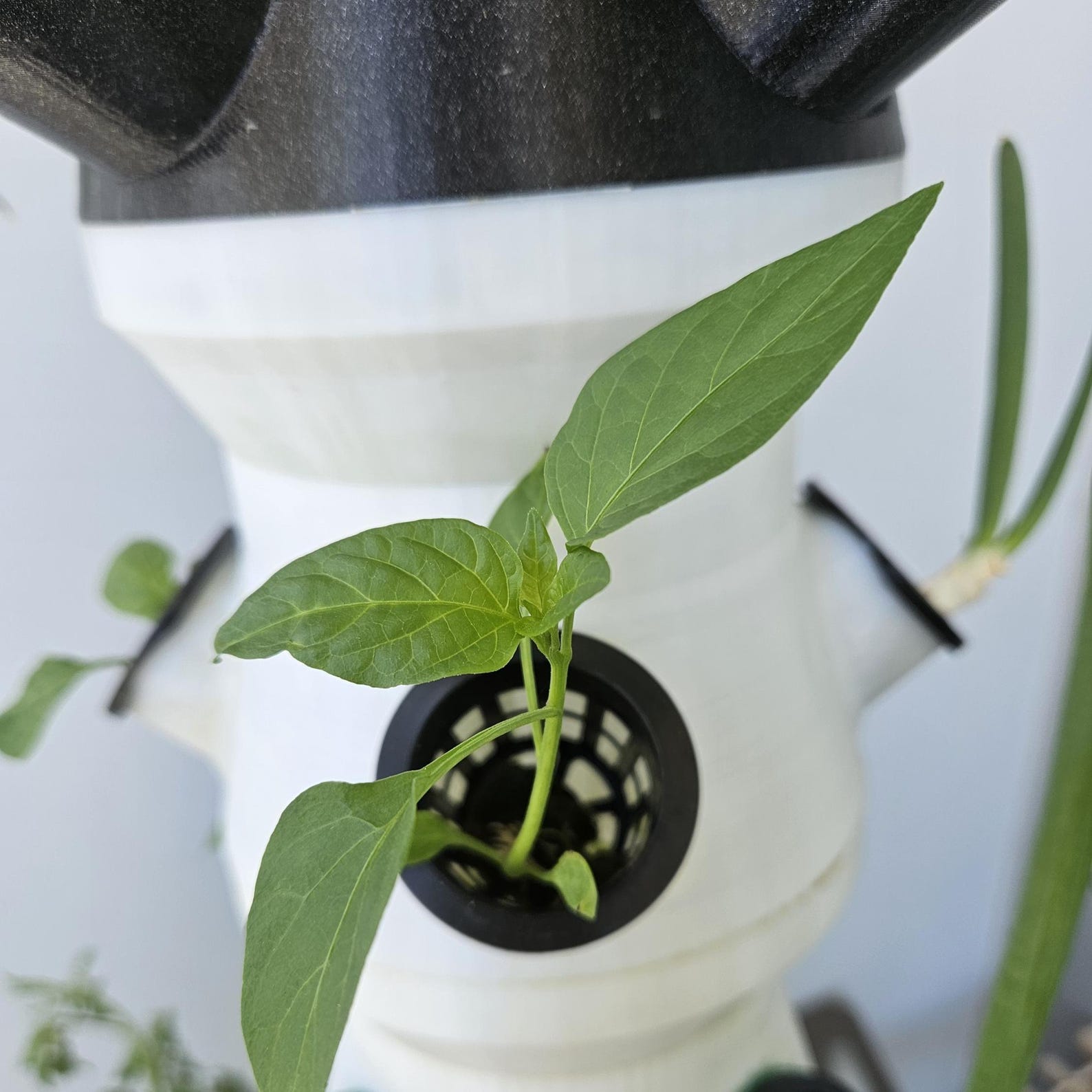 3D Printed Hydroponic Tower STL Files: DIY Vertical Planter (PDF User ...