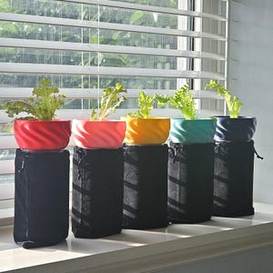 Maceta autorriego en espiral para cultivo hidropónico en tarro Mason de boca regular