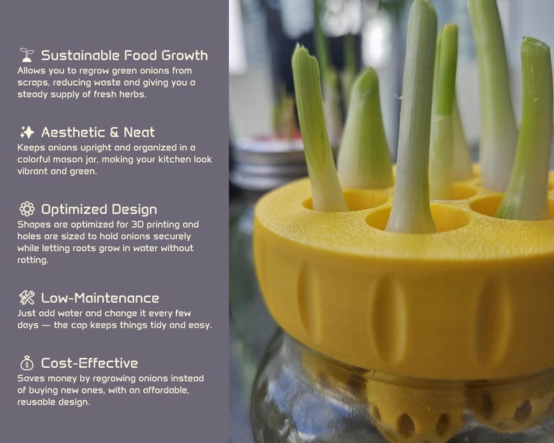 May include: A yellow onion regrowing kit with green onions sprouting from the top. The kit is designed to fit on a mason jar and has multiple holes to hold the onions. Text on the left describes the benefits of the kit.