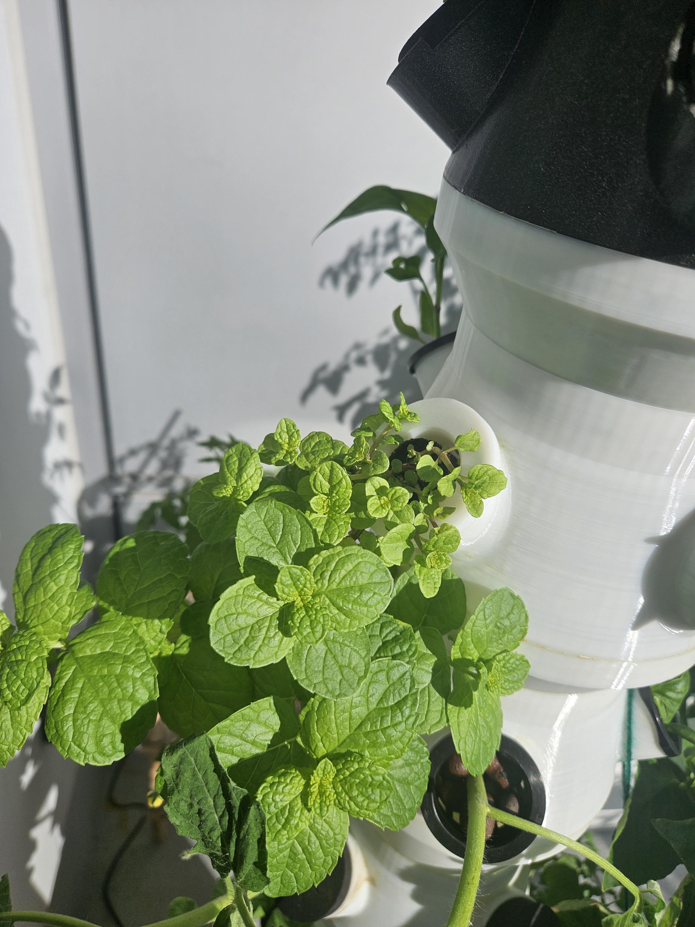 3D Printed Hydroponic Tower STL Files: DIY Vertical Planter (PDF User ...