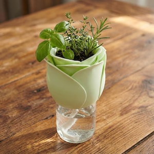May include: A light green, tulip-shaped planter with fresh herbs, including basil, thyme, and rosemary. The planter sits atop a clear glass jar with water, creating a self-watering system. The background is a wooden table.