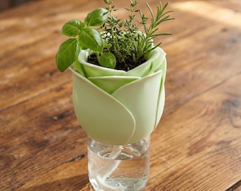 May include: A light green, tulip-shaped planter with fresh herbs, including basil, thyme, and rosemary. The planter sits atop a clear glass jar with water, creating a self-watering system. The background is a wooden table.