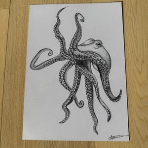 Octopus Pencil Drawing Print