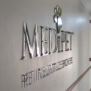 Custom Dimensional Letters, Metal Coated Acrylic Letters, Business Sign, Professional Indoor Sign, Metal Face Acrylic Letters