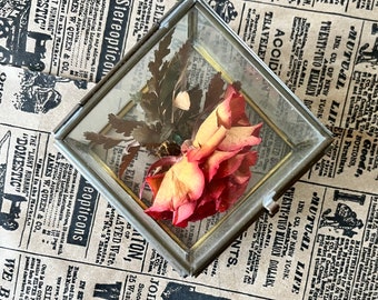 Preserved Rose in Glass Box