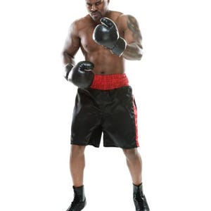 Herren Boxshorts | Kickboxhose für Training & Kampf