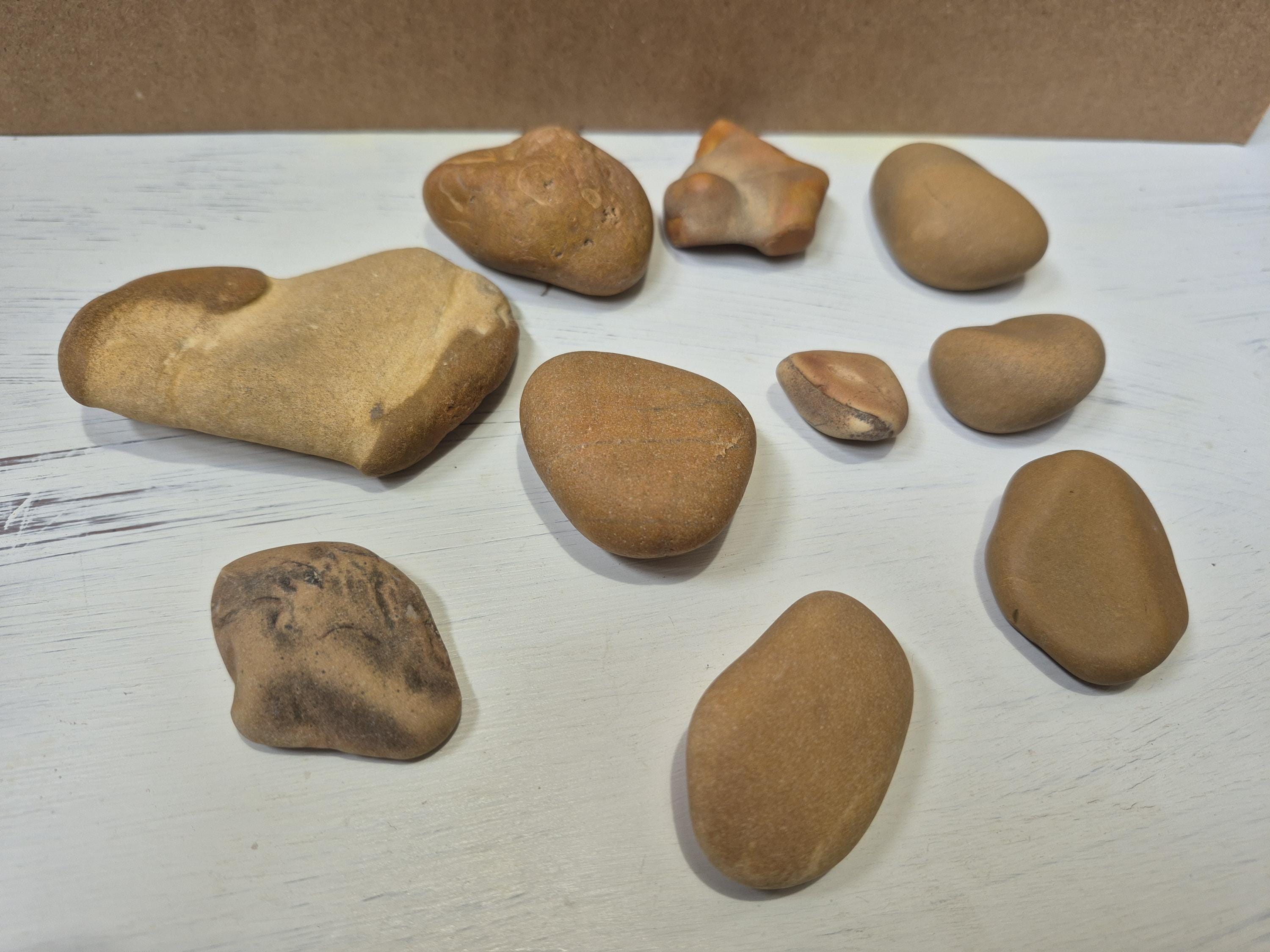 10 tan/brown beach rocks/pebbles,  various sizes and shapes- Lake Michigan stones - jewelry, decorating, aquarium, terrarium
