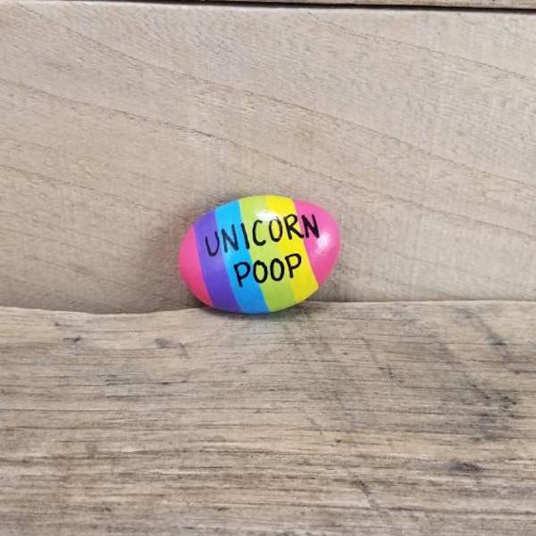 Hand painted stone - stone refrigerator magnet - unicorn poop - rainbow painted stone - painted rock - humorous gift