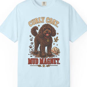 May include: A light blue t-shirt featuring a graphic of a brown curly-haired dog standing in a mud puddle. The text reads "CURLY COAT." above the dog and "MUD MAGNET." below, accompanied by paw prints, a small leaf, and a folded cloth graphic.