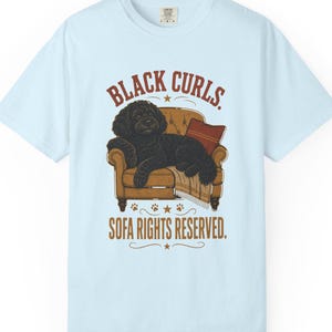 May include: A light blue short-sleeve t-shirt featuring a graphic of a black curly-haired dog lying on a tan sofa with a red pillow and a blanket. The text reads BLACK CURLS. SOFA RIGHTS RESERVED. The design includes small paw print accents.