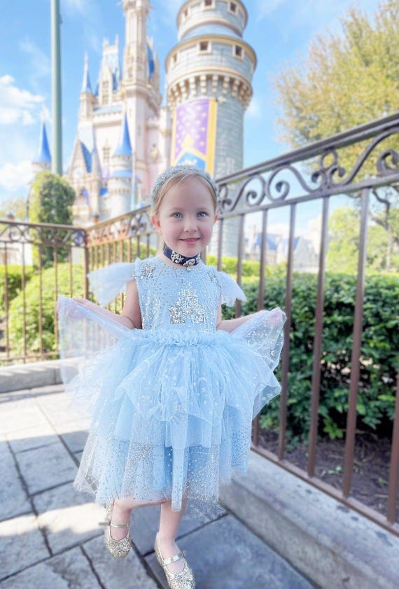 Little Princess Cinderella Tulle Sparkle Dress - Etsy