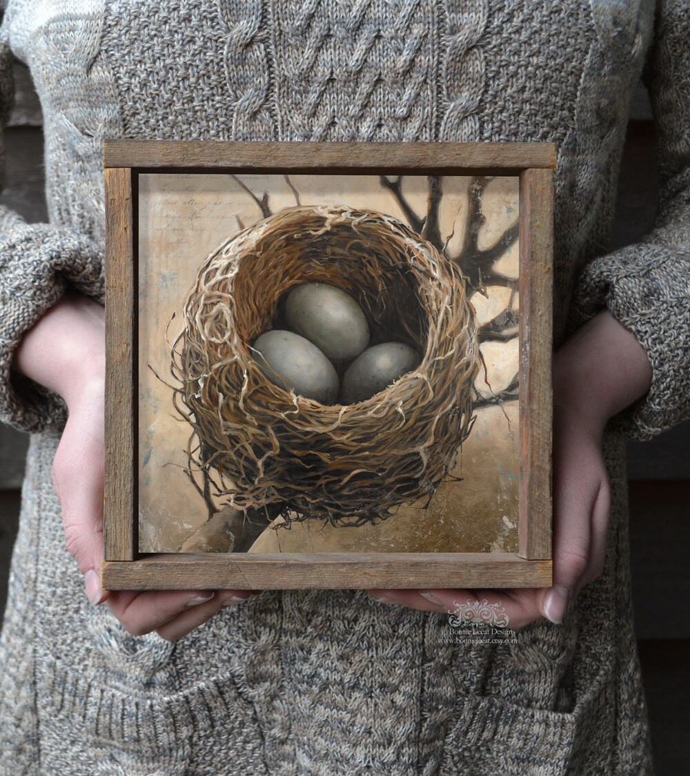 Bird Nest Art Wall Art Print Square Art Nests Art Nest Etsy