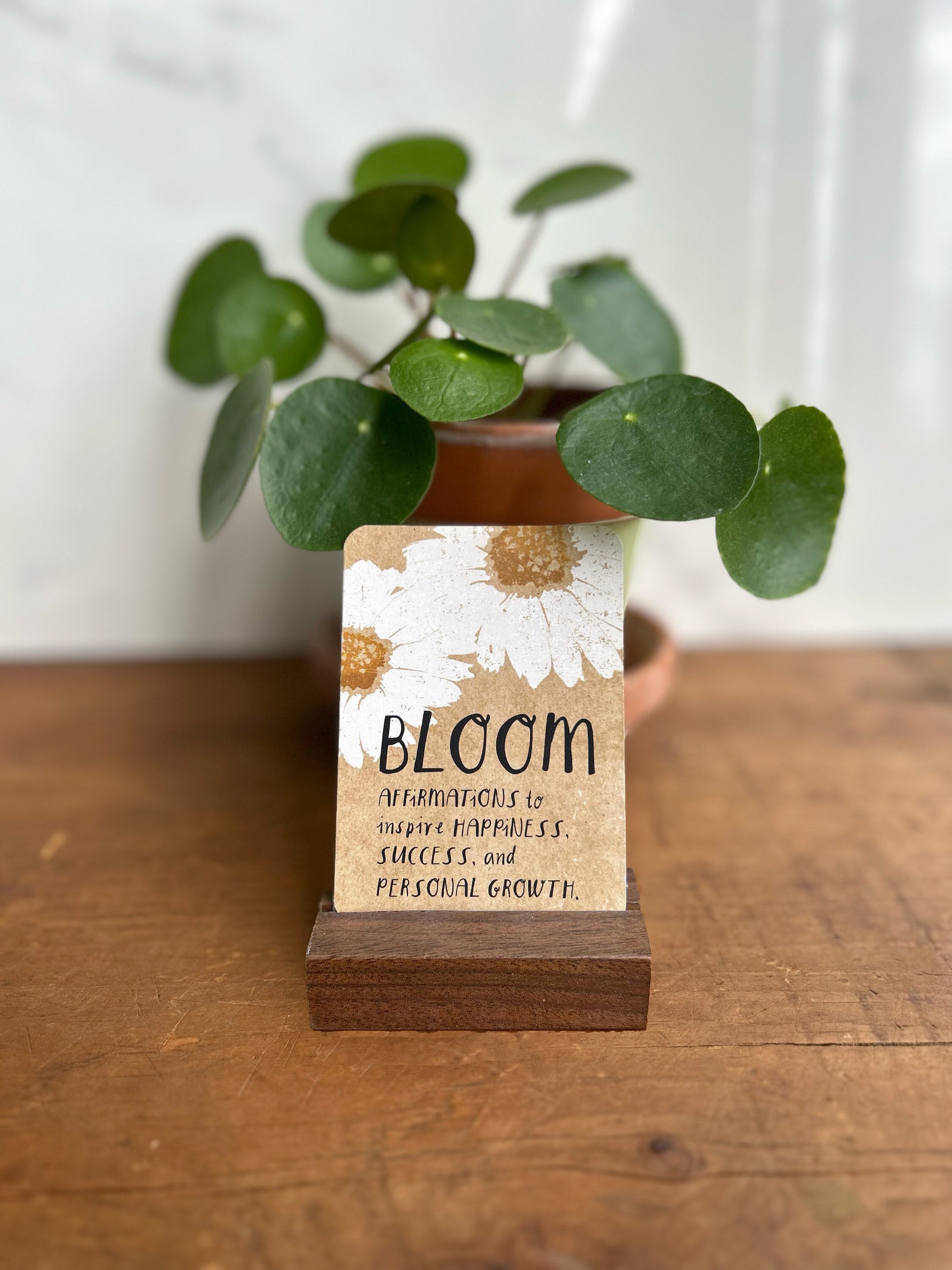 Mental Health Affirmation Cards Deck with Journal and Prompts, Inspirational Quotes Card Deck for Meditation, Self Care, and Journaling