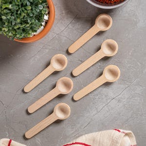 6-Piece Mini Wooden Spice Spoon Set - Natural Handmade Small Spoons, Rustic Kitchen Accessory for Spice, Salt, Sugar