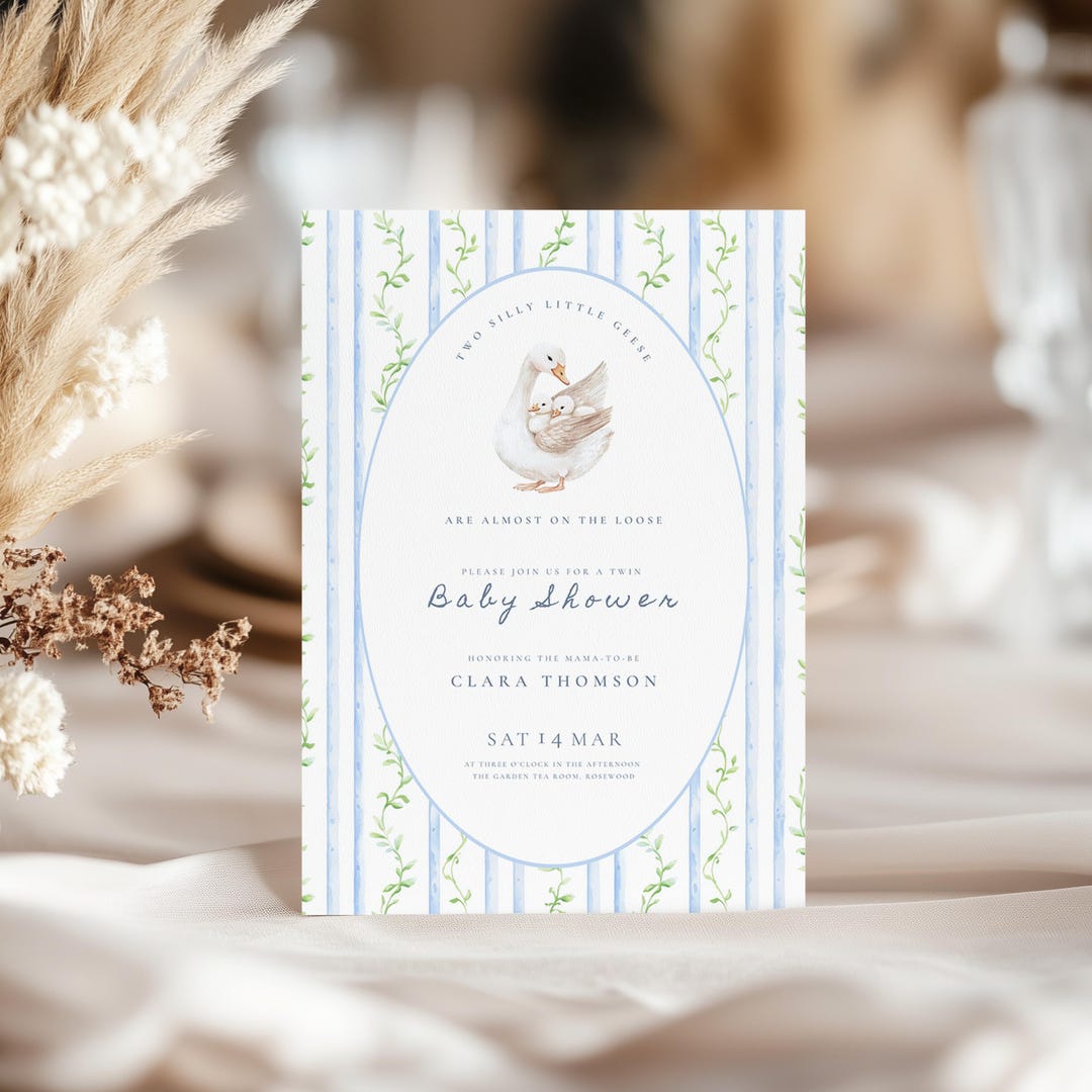Twin Goose Baby Shower Invitation: Two Silly Little Geese Invite ...