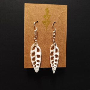 Sea Shell Slice Earrings