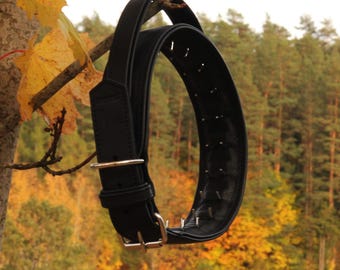 Handmade Leather Dog Collar with Handle: Hidden Prong, Large Breed, Custom Color