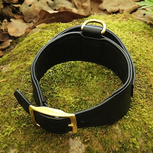 HubertuS Luxury Handmade Leather Dog Collar with Handle – Elegance, Durability & Timeless Craftsmanship