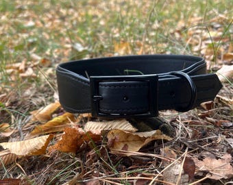 May include: A black leather dog collar with a black metal buckle and a D-ring. The collar is lying on the ground amidst fallen leaves and grass. The collar is a simple, classic design.