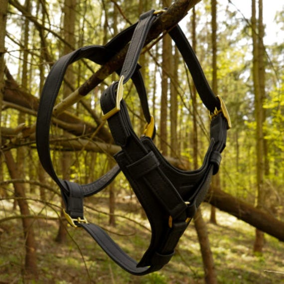 Harness natural Leather Handmade The  main image 3