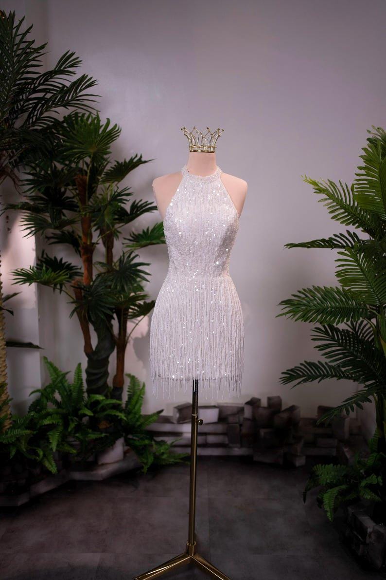 white sparkly engagement dress Danna Short Sparkly White Dress with Embroidery main image 0