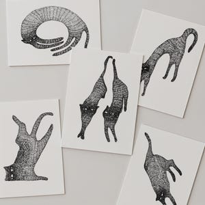 May include: A collection of five rectangular white greeting cards, each featuring a distinct black ink illustration of a cat. The cats are depicted in various elongated, contorted poses with detailed cross-hatched line work throughout their bodies.