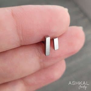 Op de afbeelding: Een paar zilveren staafvormige oorbelletjes. De oorbelletjes zijn klein en simpel en perfect voor dagelijks gebruik.
