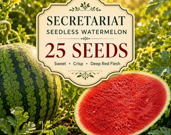 Secretariat Seedless Watermelon Seeds | Deep Red, Crisp Flesh (25 Seeds)