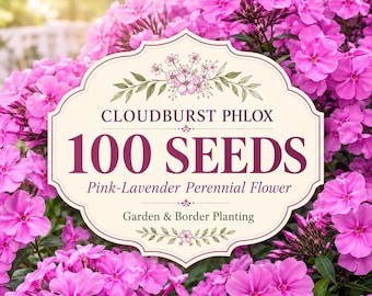 100 Pink Lavender Perennial Phlox Seeds, Cottage Garden Border Planting