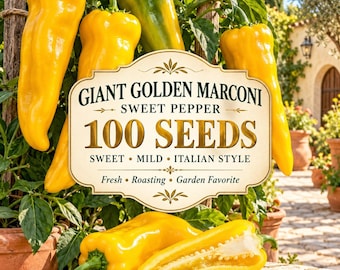 100 Giant Golden Marconi Sweet Pepper Seeds | Sweet Mild Heirloom Italian Pepper | Large Yellow Capsicum annuum Seeds