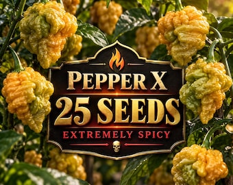 Pepper X Seeds, Extremely Hot Capsicum chinense, 25 Seeds (Vegetable Garden)